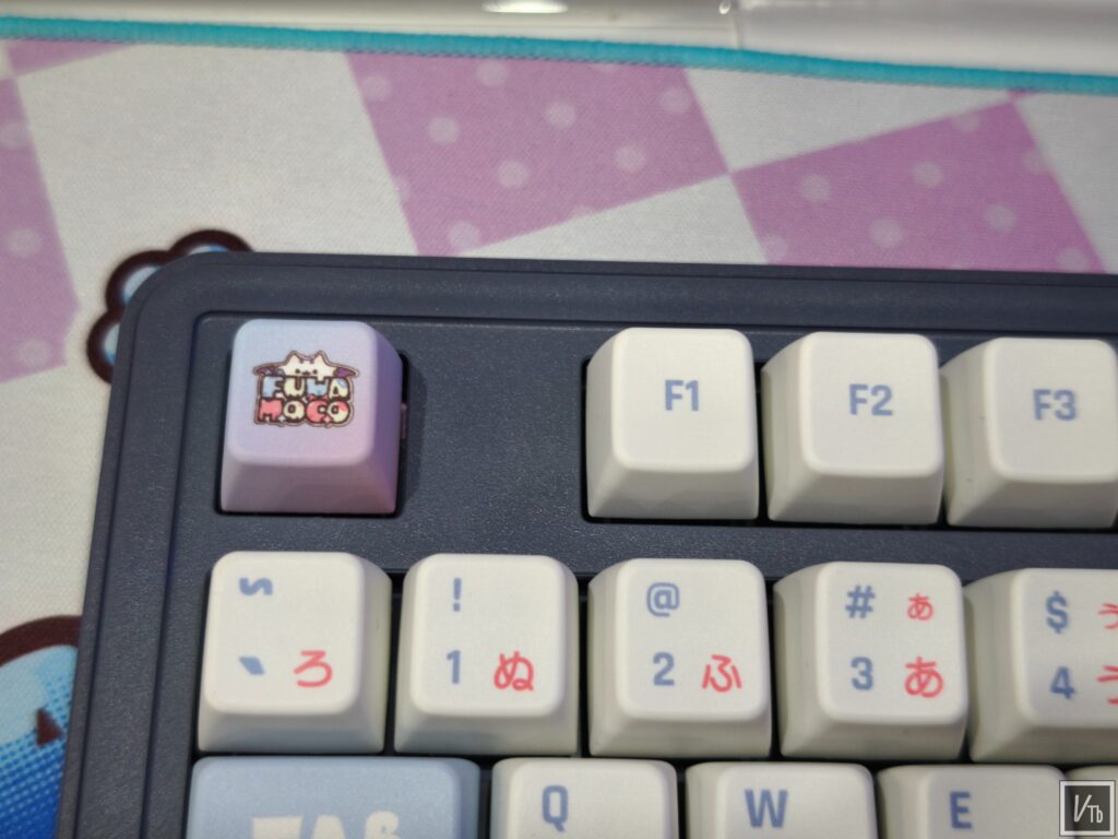 Ducky × FUWAMOCO聯名視覺展示